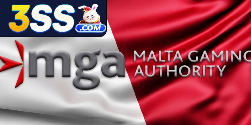 Órgãos Reguladores que Emitiram as Licenças 3SS